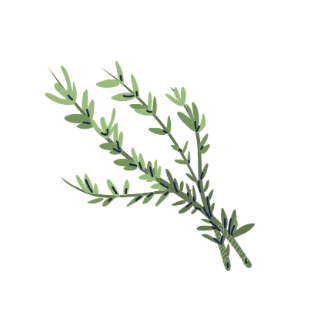 Gewürze und Kräuter