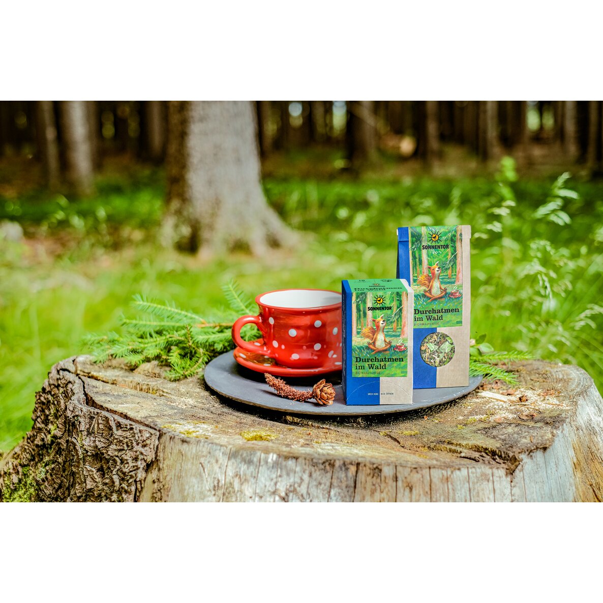 Durchatmen im Wald Tee – Bild 2